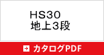 レントウパズルＨＳ３０